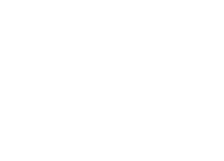 Red-Raven-Logo